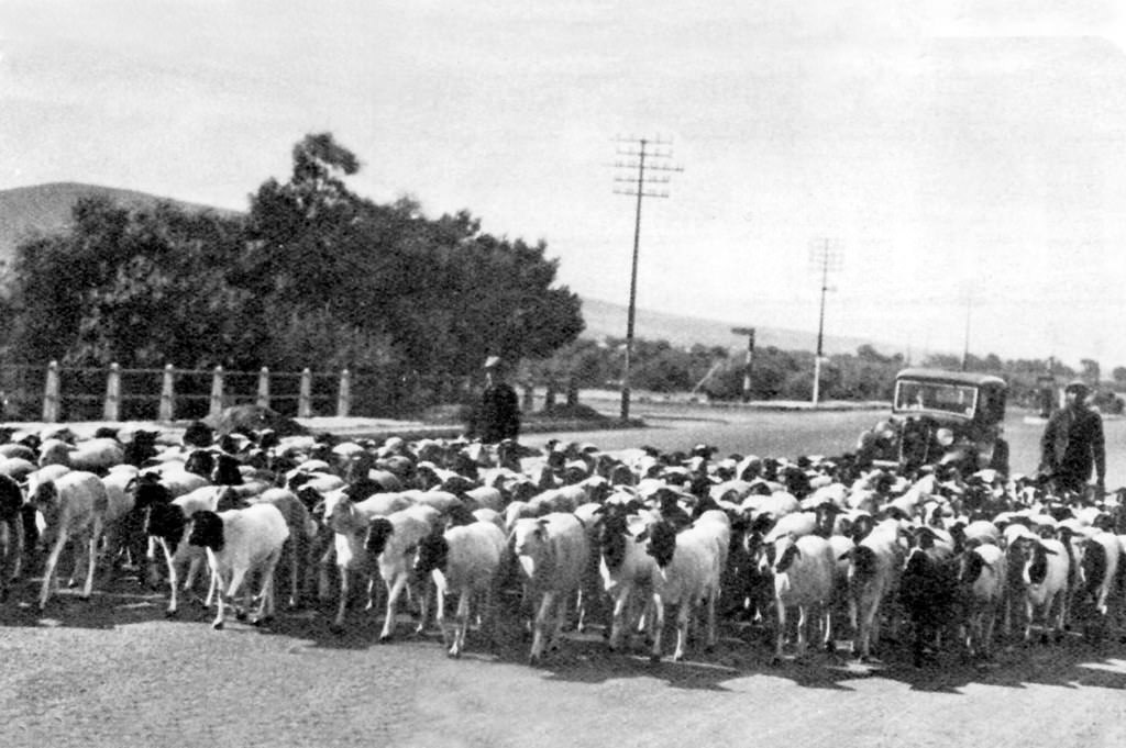 Voortrekker Rd. Bellville, 1935.