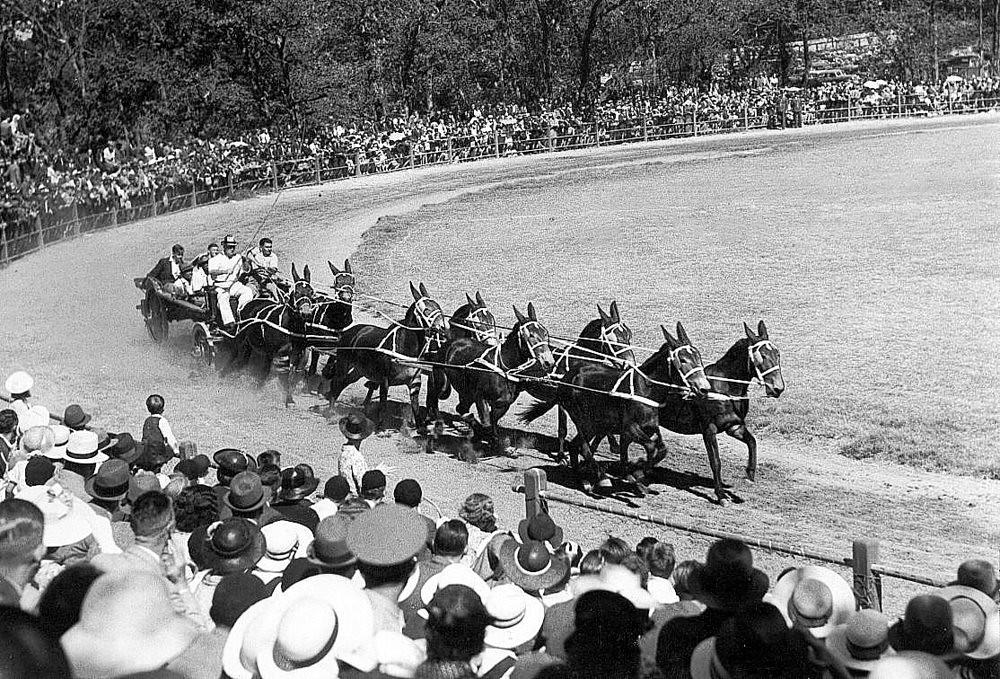 Rosebank Show 1940's