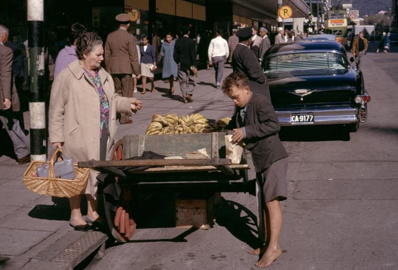 Young boy selling bananas on curb, 1960s