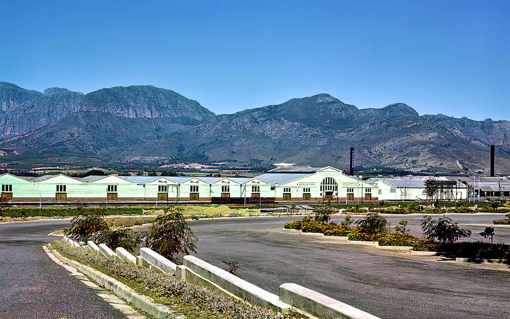 KWV wine cellar complex, Paarl, 1960.