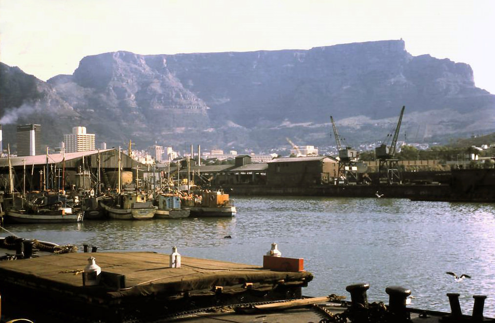 Alfred Basin, 1969