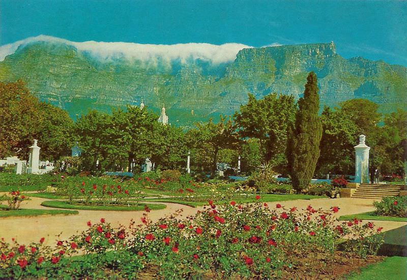 Company Gardens, 1965