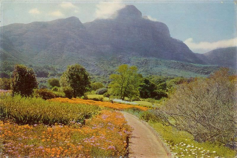 Kirstenbosch, 1965