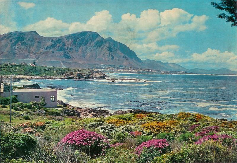 Hermanus, 1968