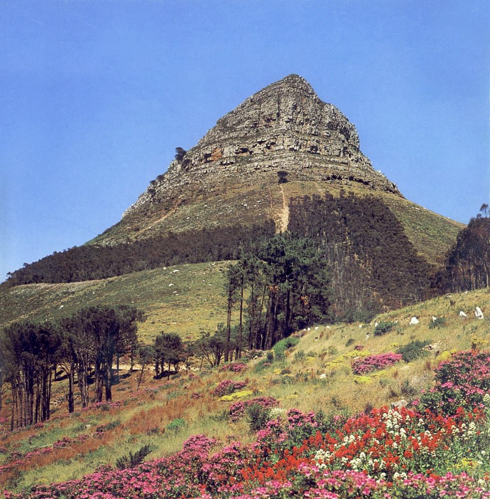 Lion's Head in spring, 1984.