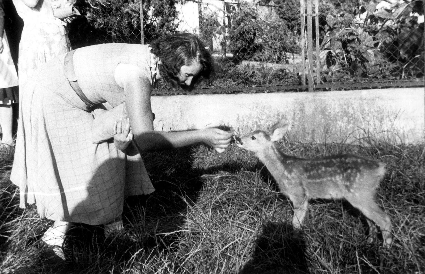 Geli Raubal feeding a fawn (1930), a portrait of Adolf Hitler's niece.