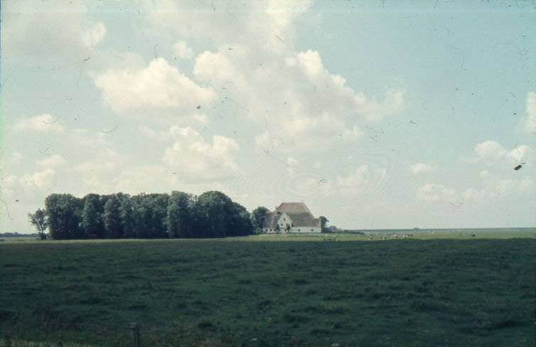 Roter Haubarg: A Traditional Farmhouse on Eiderstedt, 1966