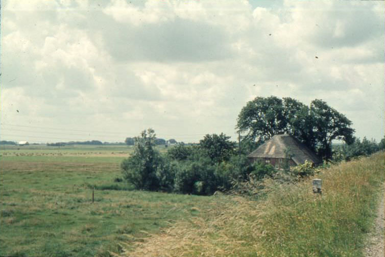 Simonsberg Village Street, 1966