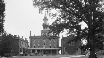 Alexandria 1900s