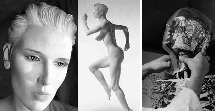 Borghild Project World's First Sex Doll