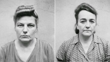 Female Nazi Concentration guards