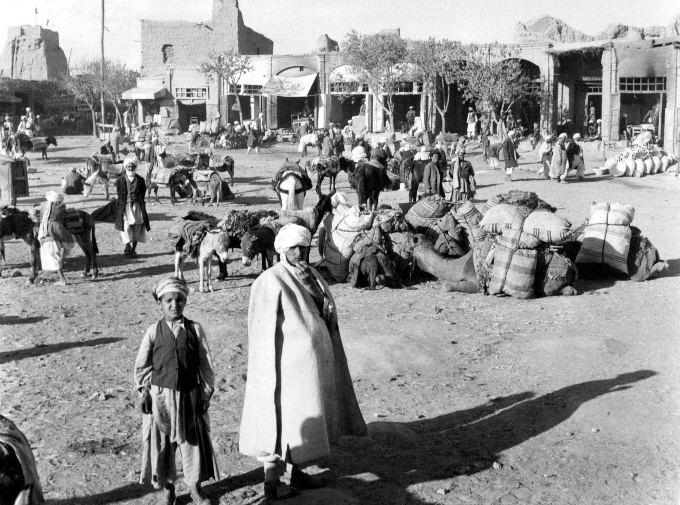 Mules and camels assembling in the market place in Herat, 1955.