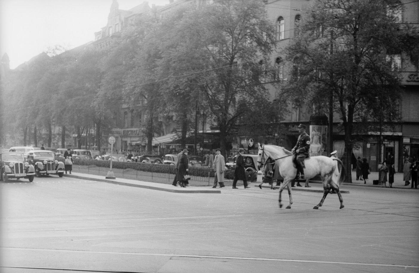 Storm Trooper, Berlin, 1939