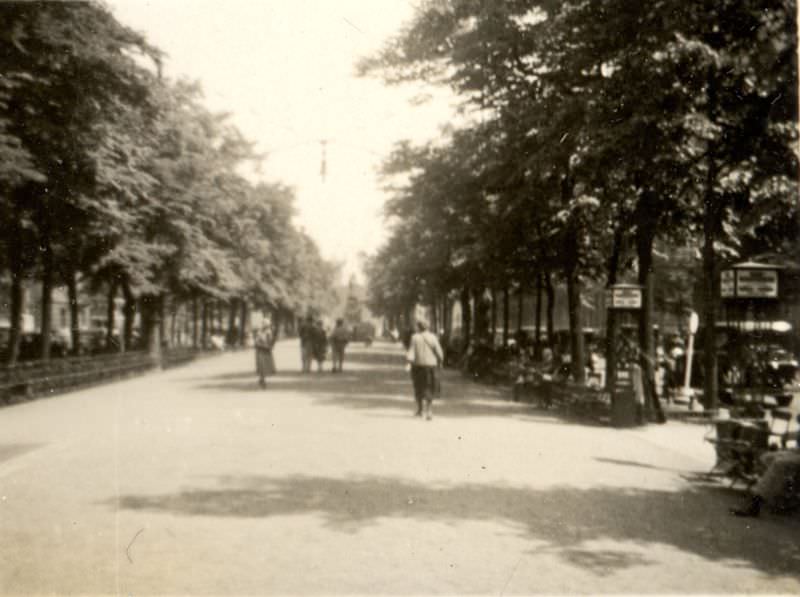 Under the linden trees, Berlin, 1930s