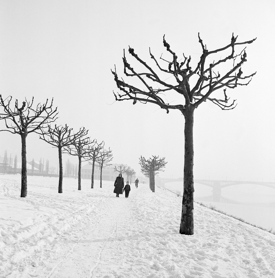 Along the Banks of the Main, Germany, 1955