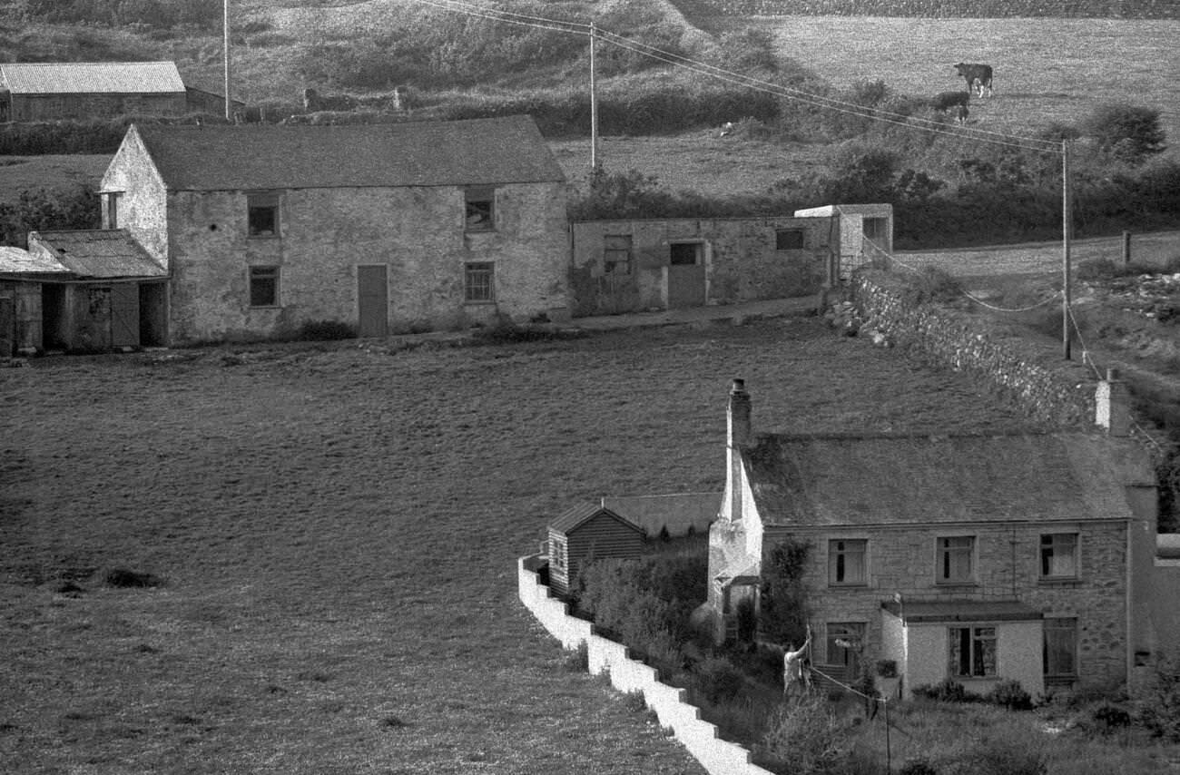 Smallholding farms in Chacewater, Cornwall, 1970s.
