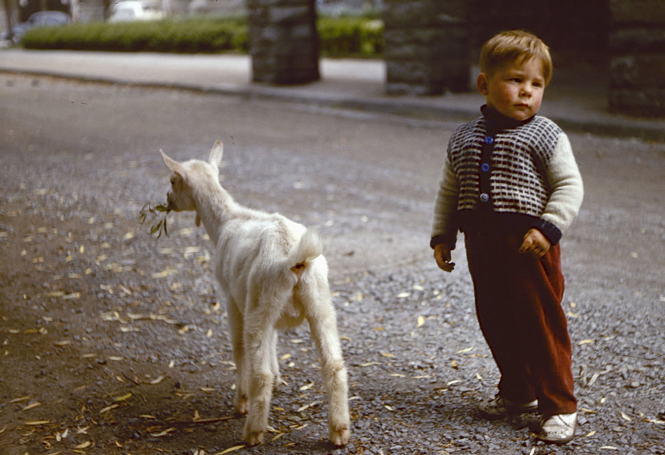 German boy with goat, Soest, 25 June 1958