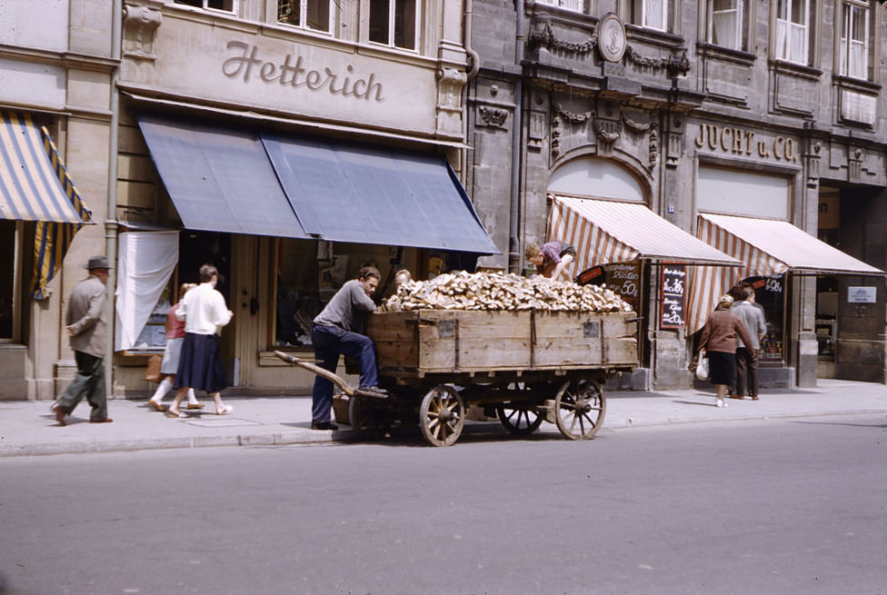 Wagon with sugar beets in Bavaria, July 1958