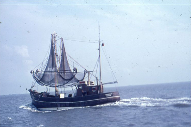 At the Husum port, 1960s