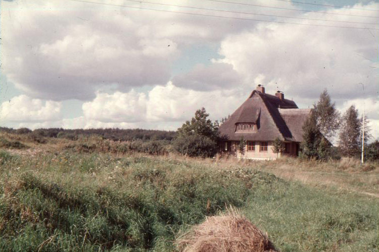 Grauhöft in Kappeln, 1960s