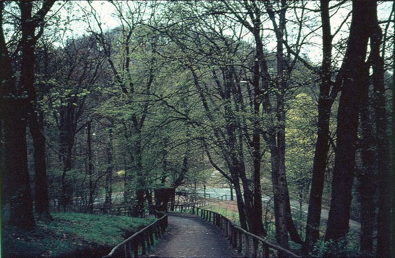 The road to Wartburg