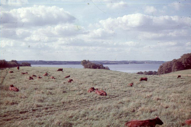 Around Kappeln (Schlei), 1960s