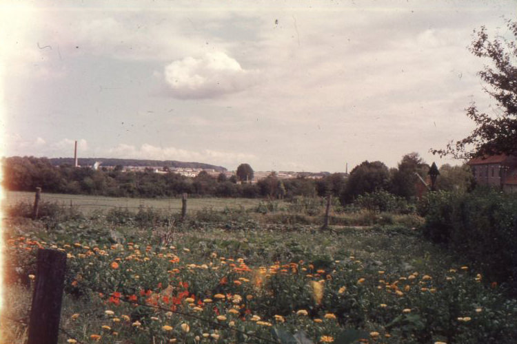 Around Kappeln (Schlei), 1960s