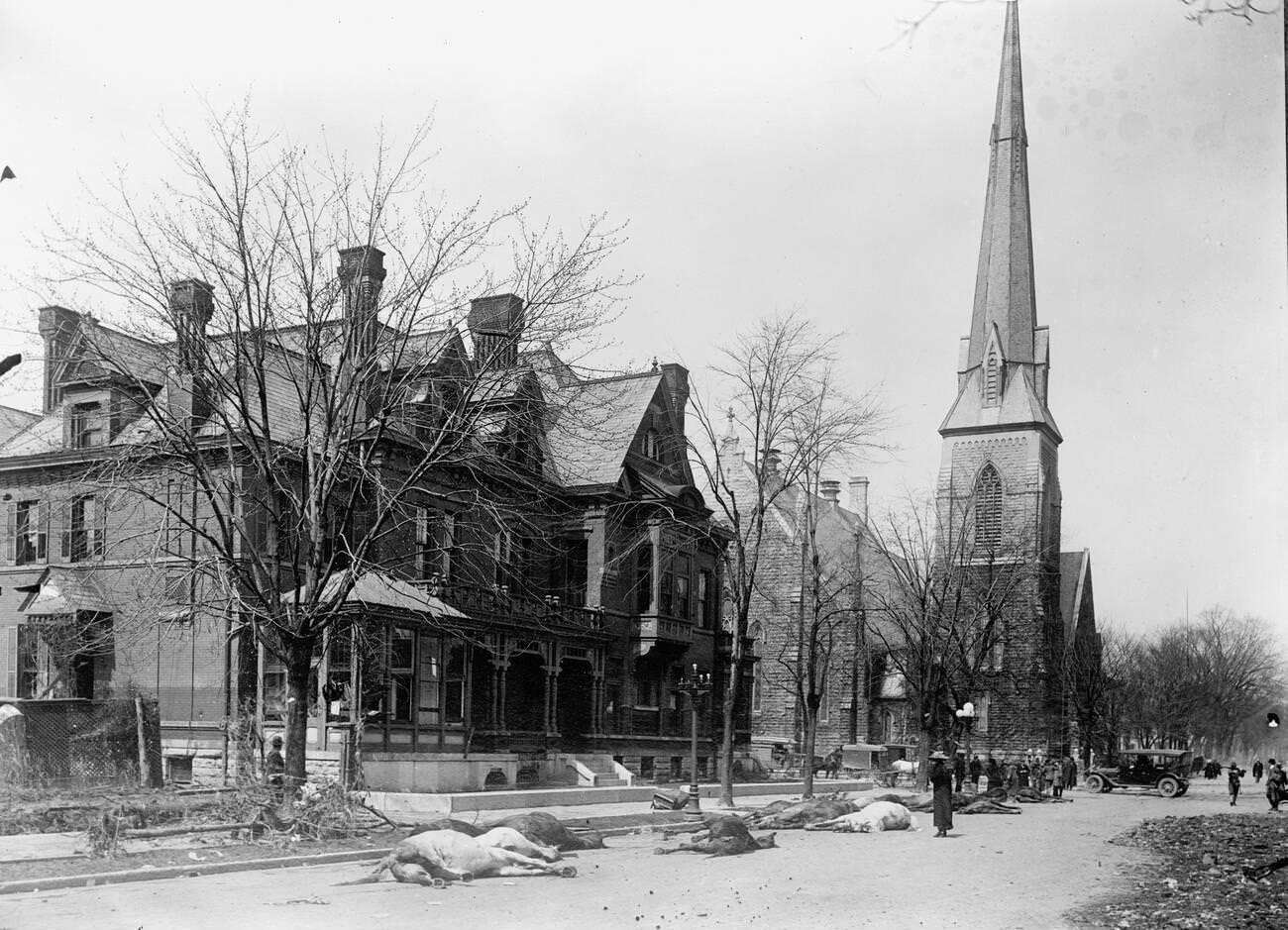 Flood scenes in Dayton, Ohio, 1913. Dead horses in the street.