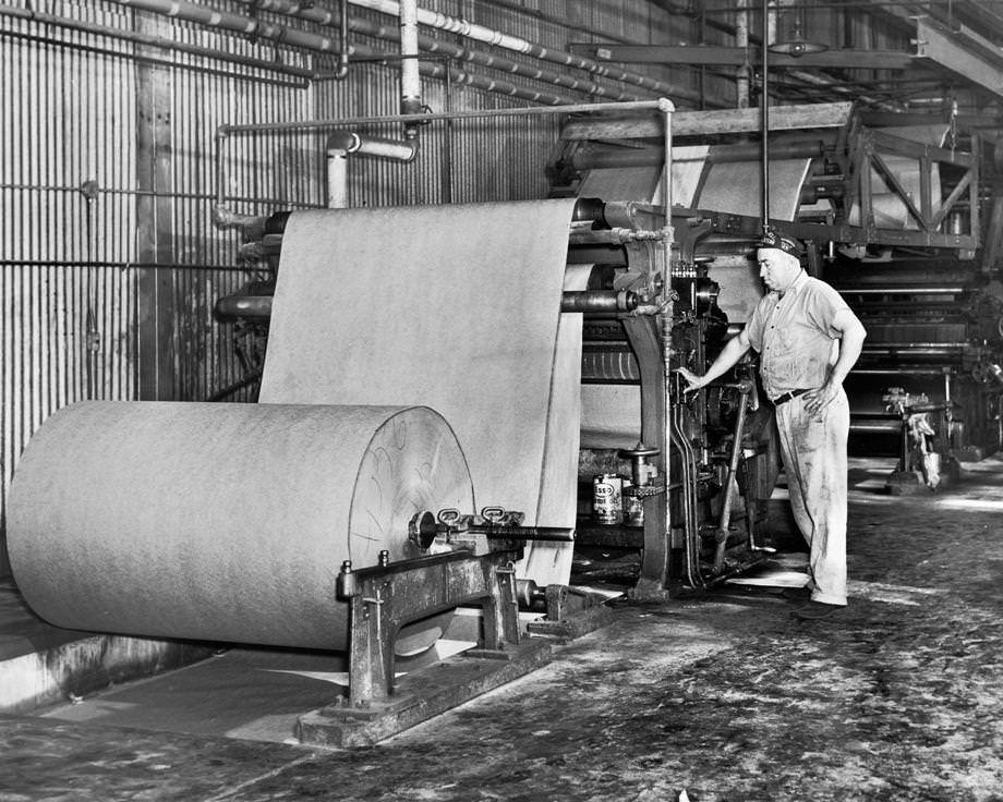 Heavy kraft paper, made from wood pulp, that was being converted into drinking cups at a Richmond factory, 1946.