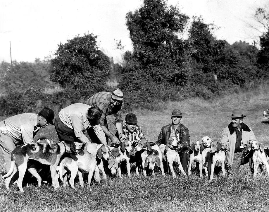 Sportsmen from Virginia and surrounding states brough their best hounds last Monday to Baskerville, near South Hill, for the twenty-sixth annual field trials of the Virginia Fox Hunters Association, 1948.