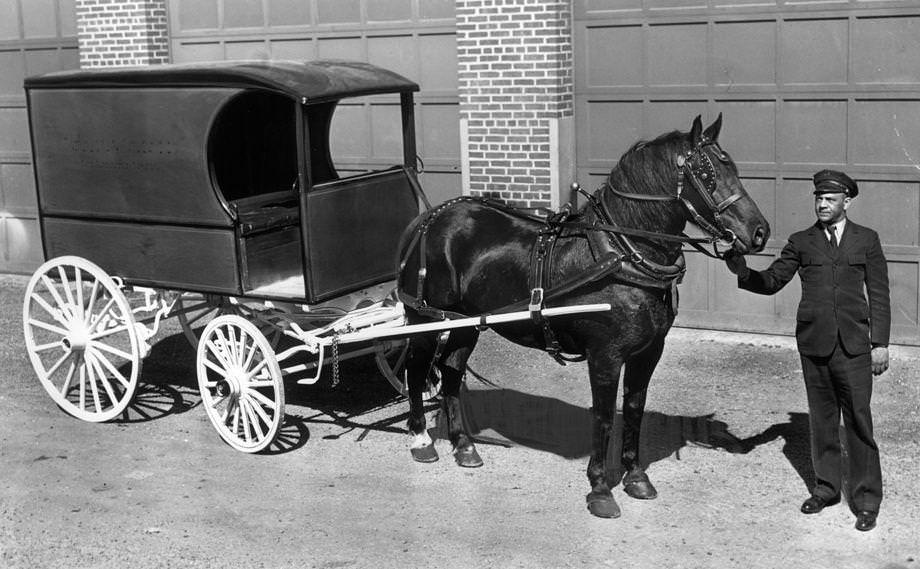 Robert Price stood beside a horse and wagon he would soon be driving for the Miller & Rhoads department store in Richmond, 1942.