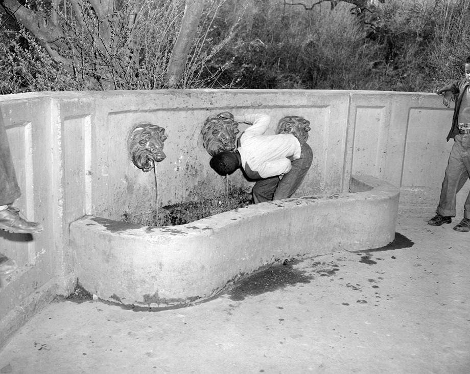 Some children took a rest and got a drink from a fountain in North Richmond located along the Richmond Henrico Turnpike, 1950.