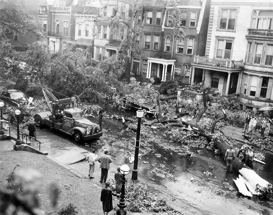 Tornado felled trees in front of Commonwealth Club on Franklin St., June 13, 1951.