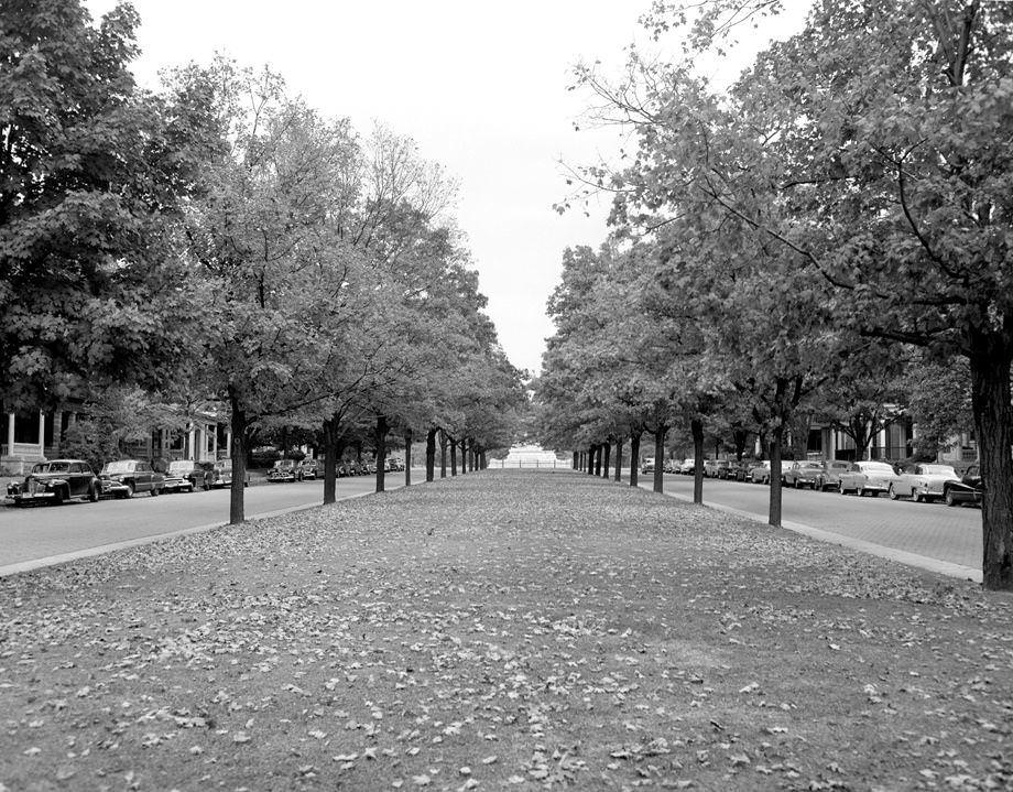 The Monument Avenue median adorned with autumn leaves, 1952.
