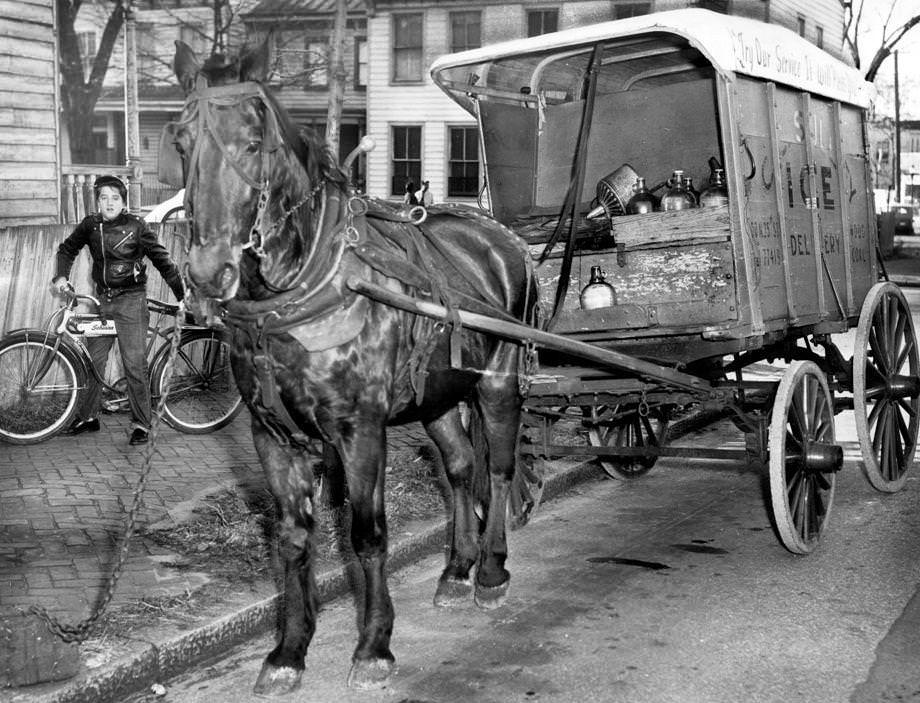 This horse and wagon raced through the streets of Church Hill in Richmond before stopping after hitting a car, 1958.