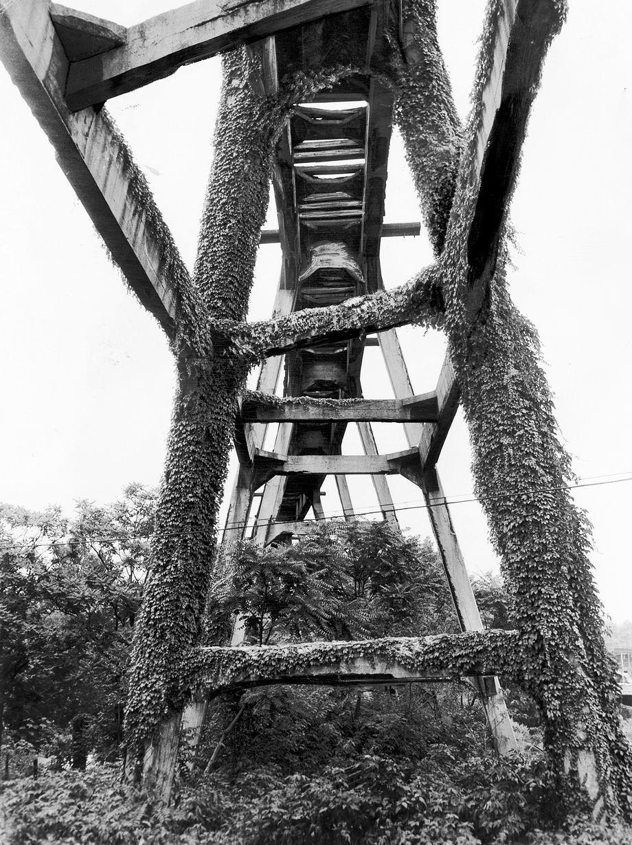 A crumbling Richmond-Ashland Electric Line viaduct, covered in vines, near Moore Street in Richmond, 1950.