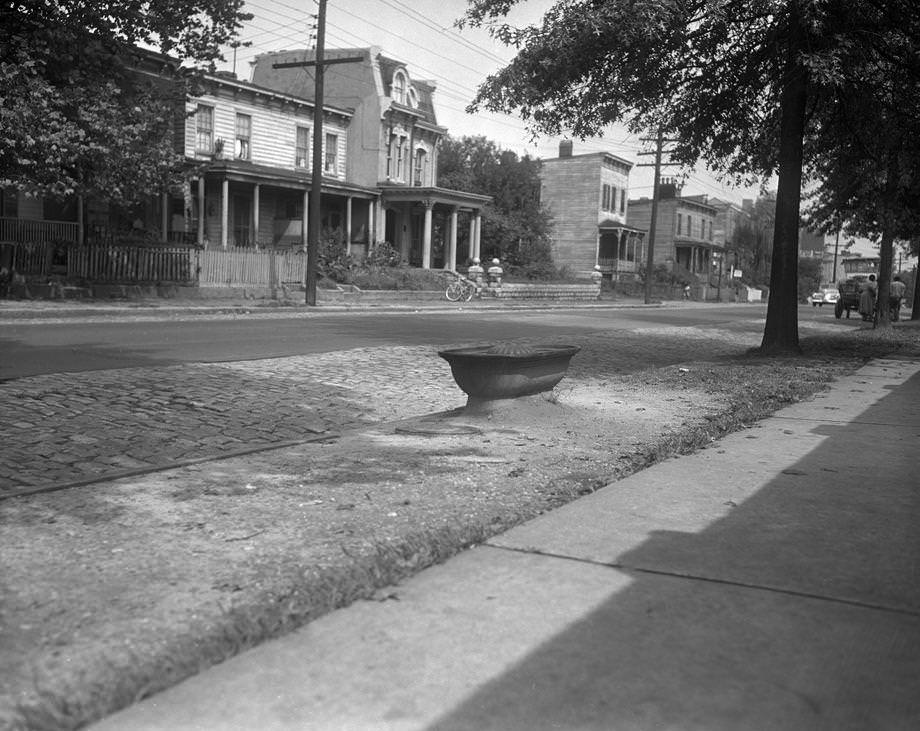 There were still working cart and wagon horses in Richmond, in addition to police horses that patrolled the streets, 1950.