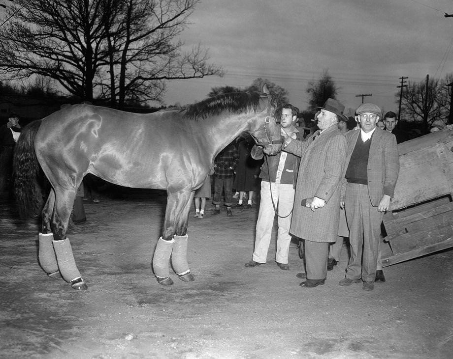 Reigning horse of the year Hill Prince came home to The Meadow, near Doswell in Caroline County, after suffering a leg fracture during training in California, 1951.