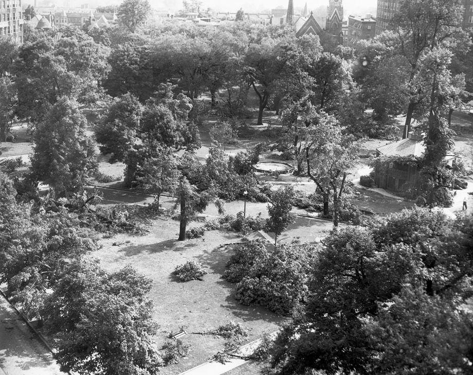 Tornado damage from June 14, 1951 storm. Photo taken June 23, 1951. Location is Monroe Park.
