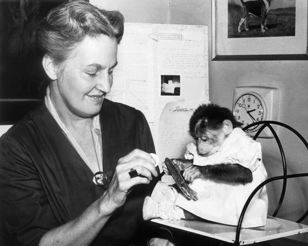 Tthe Richmond SPCA held its Be Kind to Animals Week to promote membership, 1960.