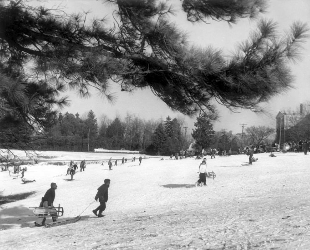 Snow sledding down the hill at the Country Club of Virignia, 1961.