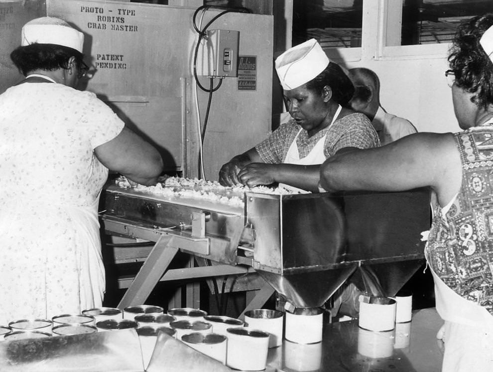 Workers at a Lancaster County plant inspected crab meat during a demonstration of a new picking machine, which promised to triple production, 1962.