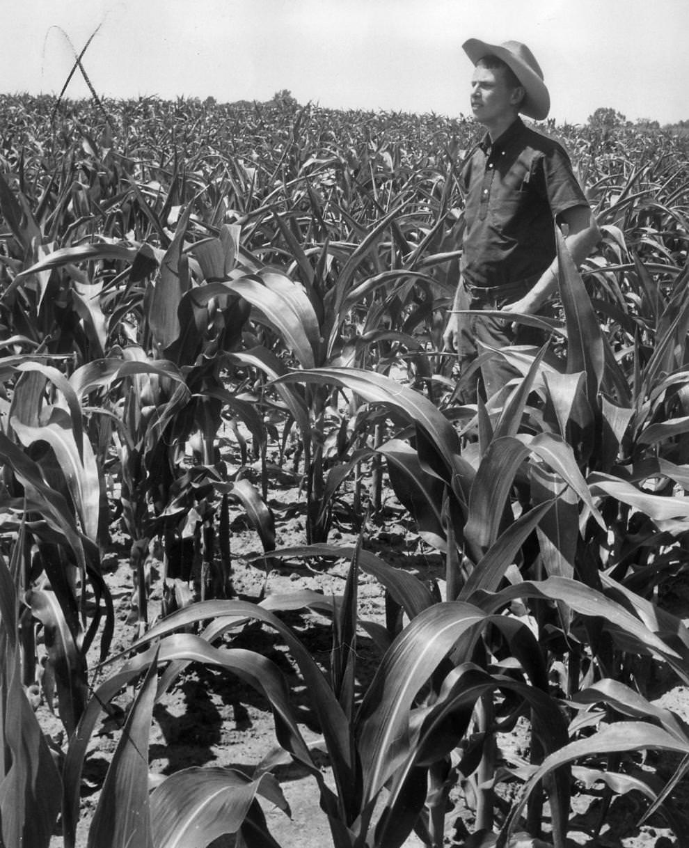 Louis Brooking Jr. of Highland Springs High School in Henrico County won the statewide 4-H Club competition for field crops achievement, 1963.