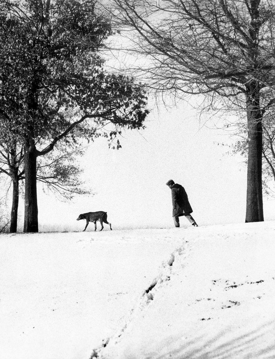 A man and his dog walked in snow-covered Jefferson Park in the Union Hill neighborhood of Richmond near Church Hill, 1973.
