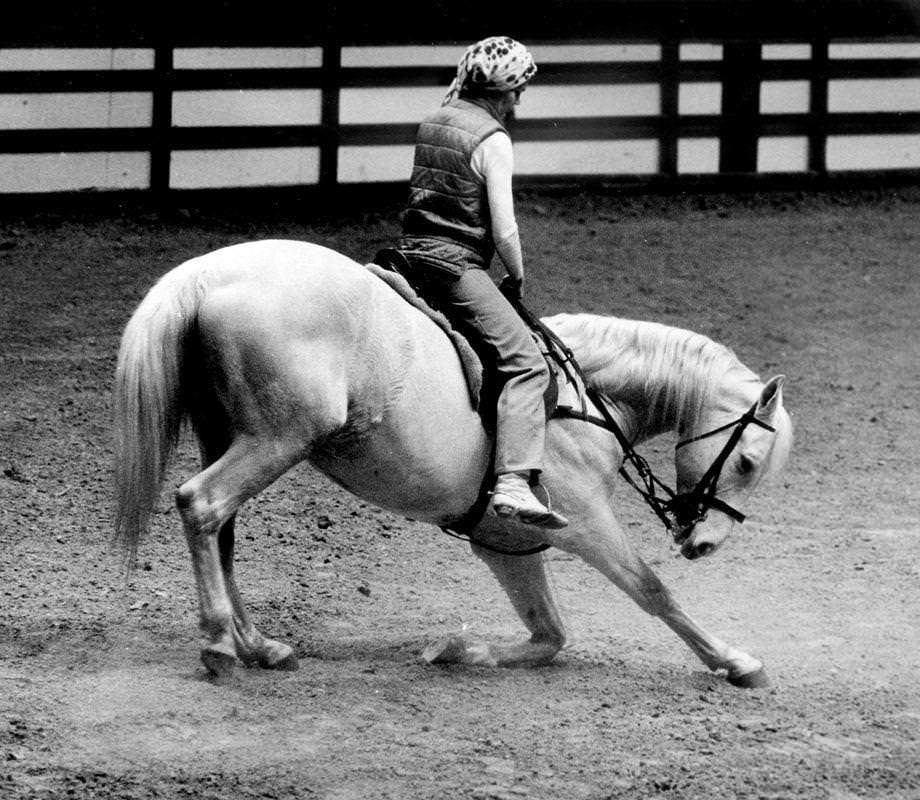 A rider and her horse practiced for the Loretta Lynn Longhorn World Championship Rodeo, 1973.