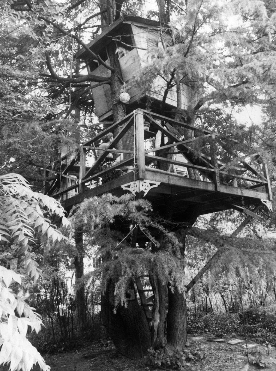 The Worsham family of Richmond enjoyed their two-level tree house, built high in a deodar cedar tree in their backyard, 1970.