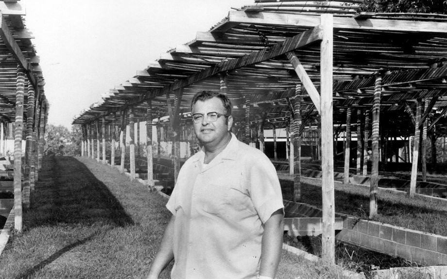 Richard S. Graves stood amid shaded worm pits at his worm farm in the Fork Union community in Fluvanna County, 1970.