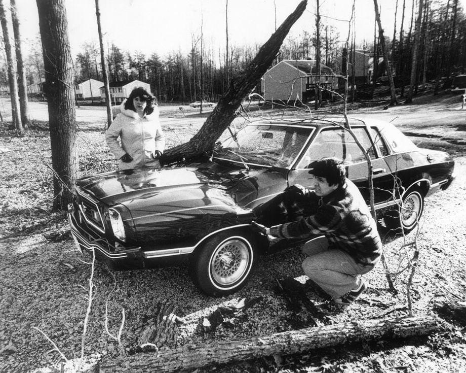 Mr. and Mrs. Donald Miller assessed the damage done to their car by a tree that fell after a night of strong winds. The Chesterfield County couple had just purchased the car, 1978.