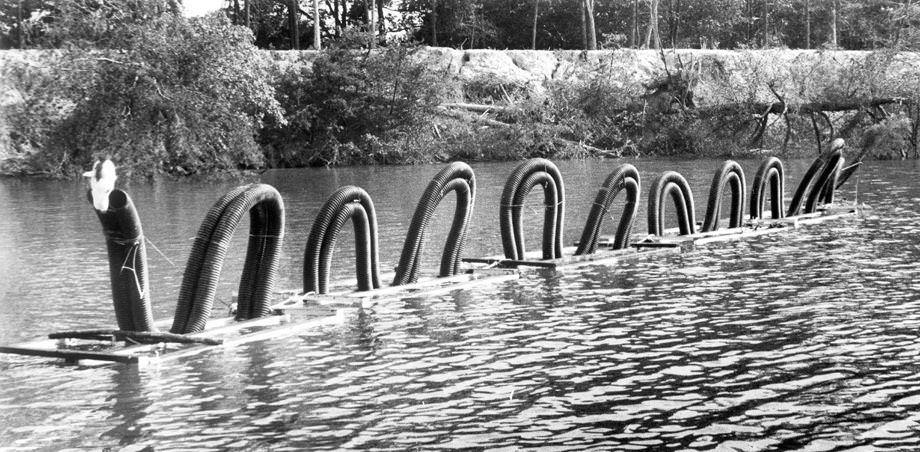 Plastic drain pipe was shaped into a 60-foot “serpent” in the Yeocomico River near Kinsale on Virginia’s Northern Neck, 1978.