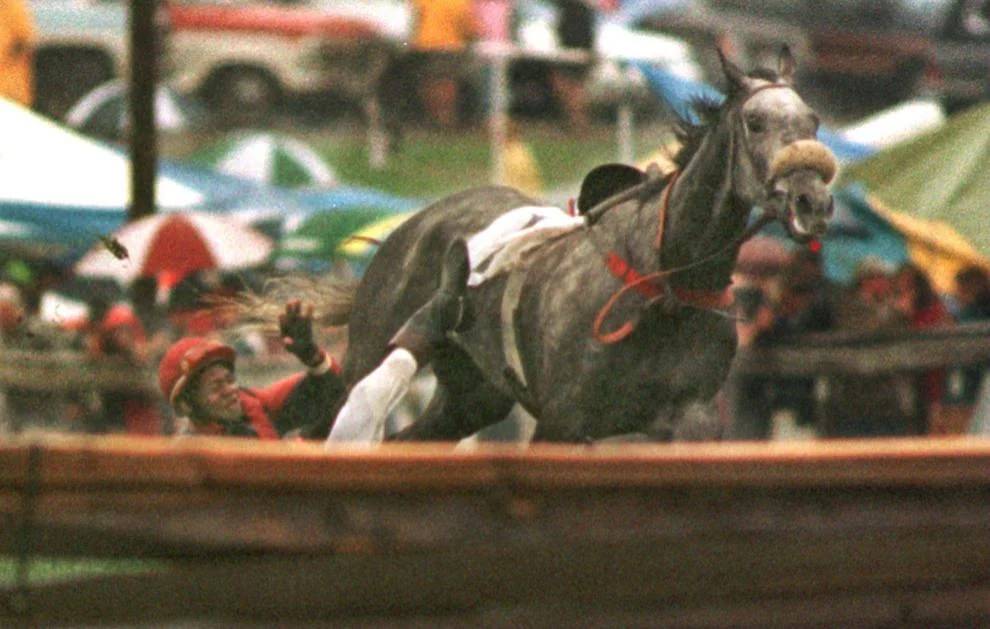 Jockey Troy Lively falls off horse before jump during fourth race at Strawberry Hill Races, 1997.